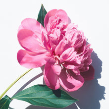 Load image into Gallery viewer, Peony & Blush Jar
