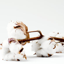 Load image into Gallery viewer, Clean Cotton Tin Candle