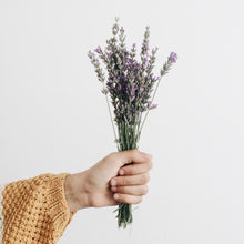 Load image into Gallery viewer, Lavender & Chamomile Jar